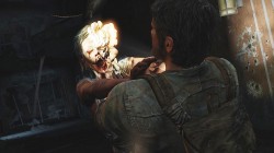 the last of us (2)