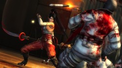 screenshot 298936 250x140 اسکرین شات هایی از نسخه ی PS3/Xbox360 بازی Ninja Gaiden 3: Razors Edge 
