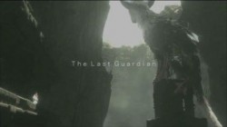 Last Guardian هنوز در حال ساخت است و فوق العاده خواهد بود 1