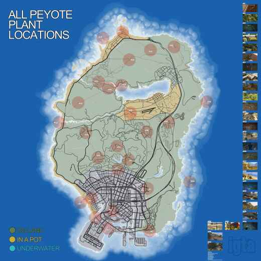 Just finished collecting al 27 peyote. What a Trip All Locations Map. Imgur نقشه ای از 27 مکان برای پیدا کردن گیاه Peyote در GTA V