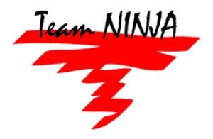 پروژه ی جدیدی از سوی Team Ninja در TGS رونمایی می شود - گیمفا