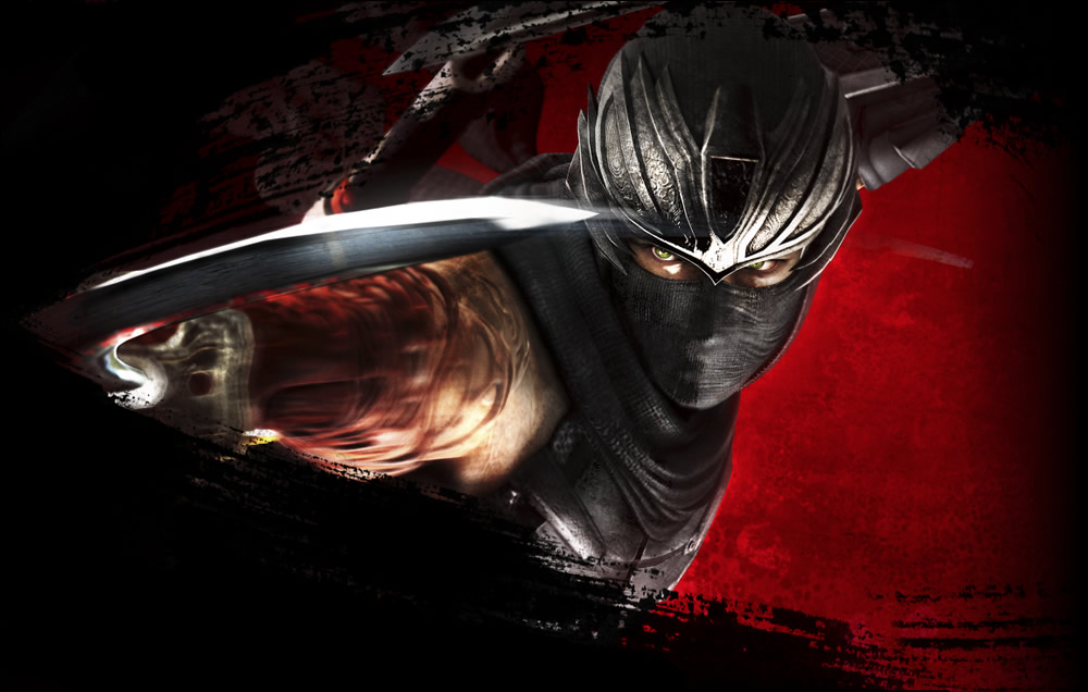 Team Ninja عناوین بیشتری برای Wii U خواهد ساخت - گیمفا