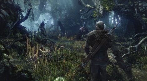 E3 2013:تصاویر جدید از عنوان The Witcher 3:Wild Hunt منتشر شد - گیمفا