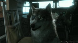 [تصویر:  MGSV-DD-Intro-250x140.jpg]