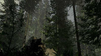 PS Experience: بازی ترسناک The Forest برای Playstation 4 تایید شد - گیمفا