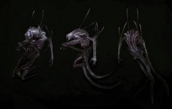 evolve wraith 5