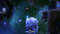 ori and the blind forest jan 9