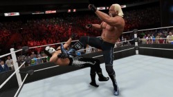 wwe 2k15 pc screen 7