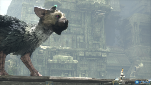 سونی: ما باید The Last Guardian را با موفقیت ارائه دهیم - گیمفا