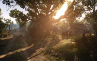 the witcher 3 wild hunt panoramas 3