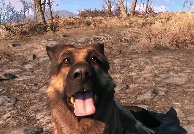 با ماد جدید Fallout 4 در نقش Dogmeat ظاهر شوید – تصاویر و ویدئو - گیمفا