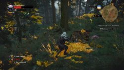 the witcher 3 patch new 12