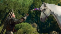 the witcher 3 wild hunt blood and wine thanks for reaching out