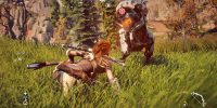 aloy watcher 1465873570