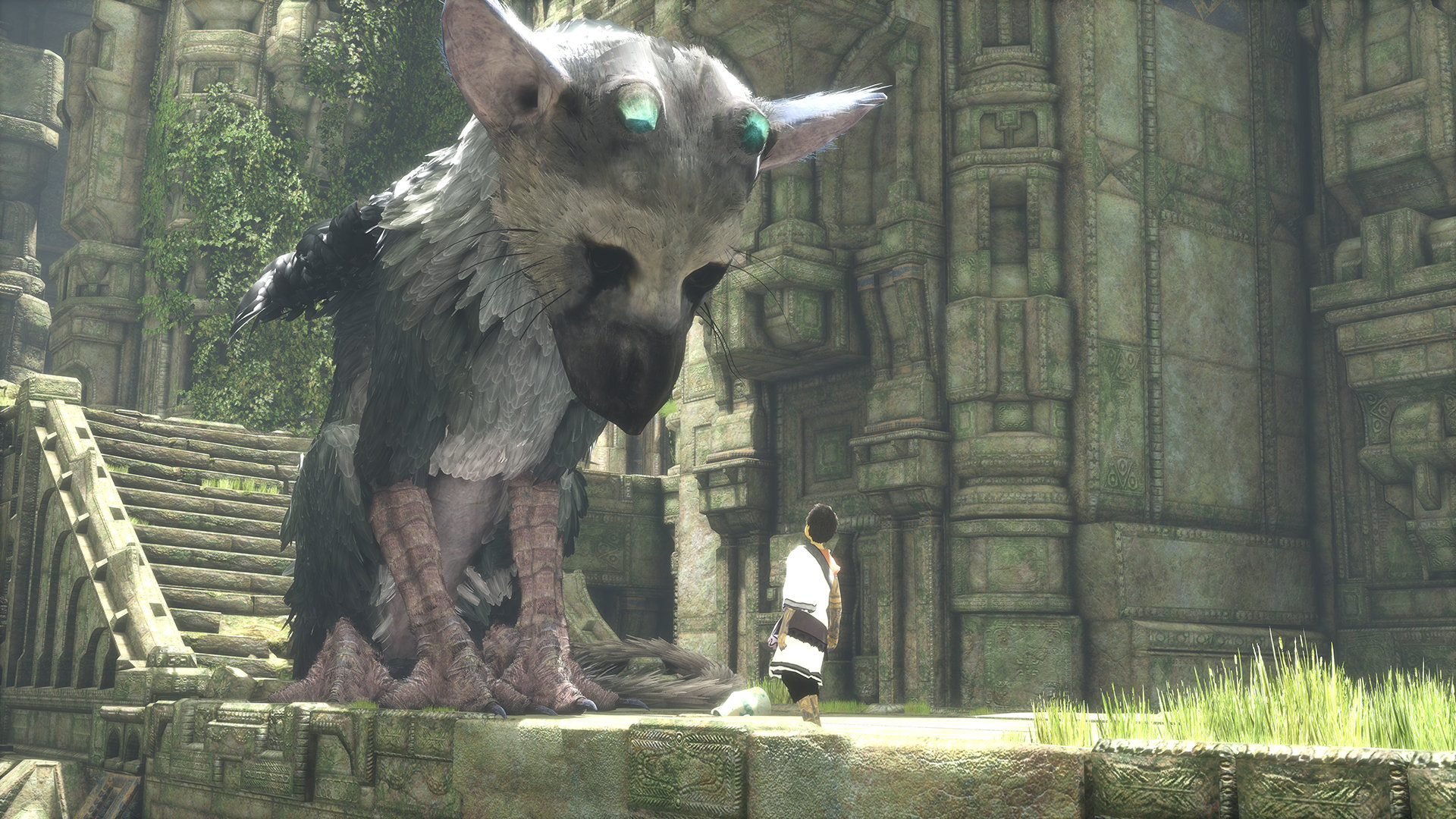 نسخه‌ی کلکسیونی The Last Guardian در وب‌سایت آمازون فهرست شد + محتویات - گیمفا