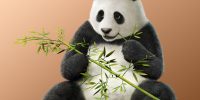 panda 2p tk7cs fix 1481294601