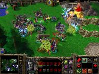warcraft 3 reign of chaos gameplay9