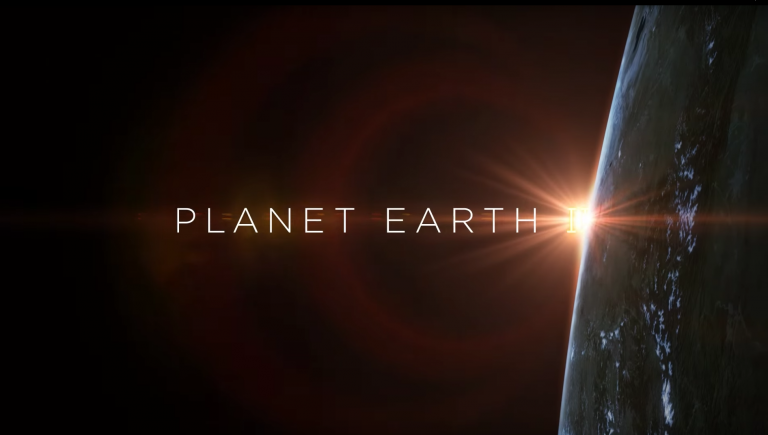 [سینماگیمفا]: موسیقی هفته: دانلود موسیقی‌متن مستند Planet Earth II - گیمفا