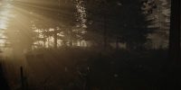 تاریخ انتشار نسخه پلی‌استیشن ۴ بازی The Forest اعلام شد - گیمفا