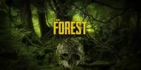 تاریخ انتشار نسخه پلی‌استیشن ۴ بازی The Forest اعلام شد - گیمفا