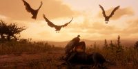 تصاویر زیبایی از حیات وحش Red Dead Redemption 2 منتشر شد - گیمفا