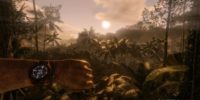 جزیره مرگ | نقد و بررسی بازی The Forest - گیمفا