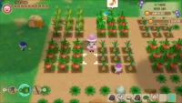 اطلاعاتی در مورد به‌روزرسان ۱٫۱٫۴ بازی Story of Seasons: Friends of Mineral Town منتشر شد - گیمفا