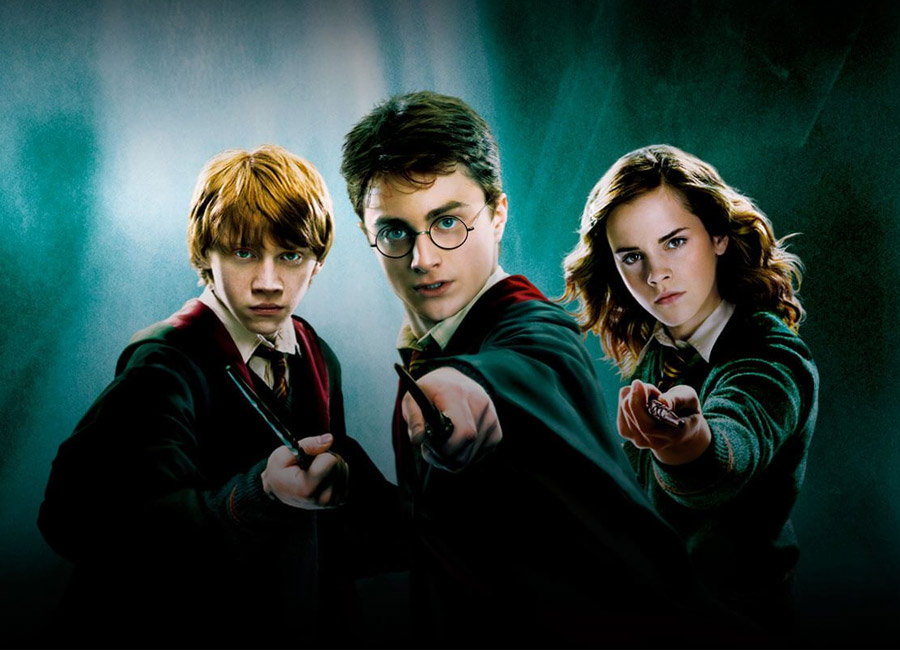 گزارش: الکترونیک آرتز ساخت یک بازی MMO از سری Harry Potter را لغو کرده است