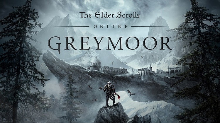 سازندگان The Elder Scrolls Online در حال کار برروی یک بازی جدید هستند - گیمفا