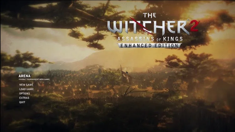 the witcher 2