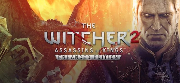 the witcher 2