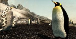 ماد جدید Skyrim پنگوئن‌ها را به این بازی می‌آورد