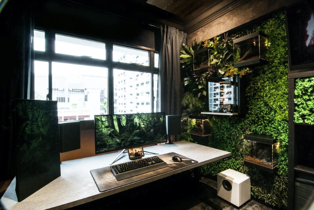 طراحی اتاق گیمینگ؛ با خرید گل و گیاه آپارتمانی - گیمفا