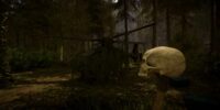 نسخه ی آلفای عنوان The Forest به زودی در شبکه ی استیم + تصاویر جدید از بازی | گیمفا