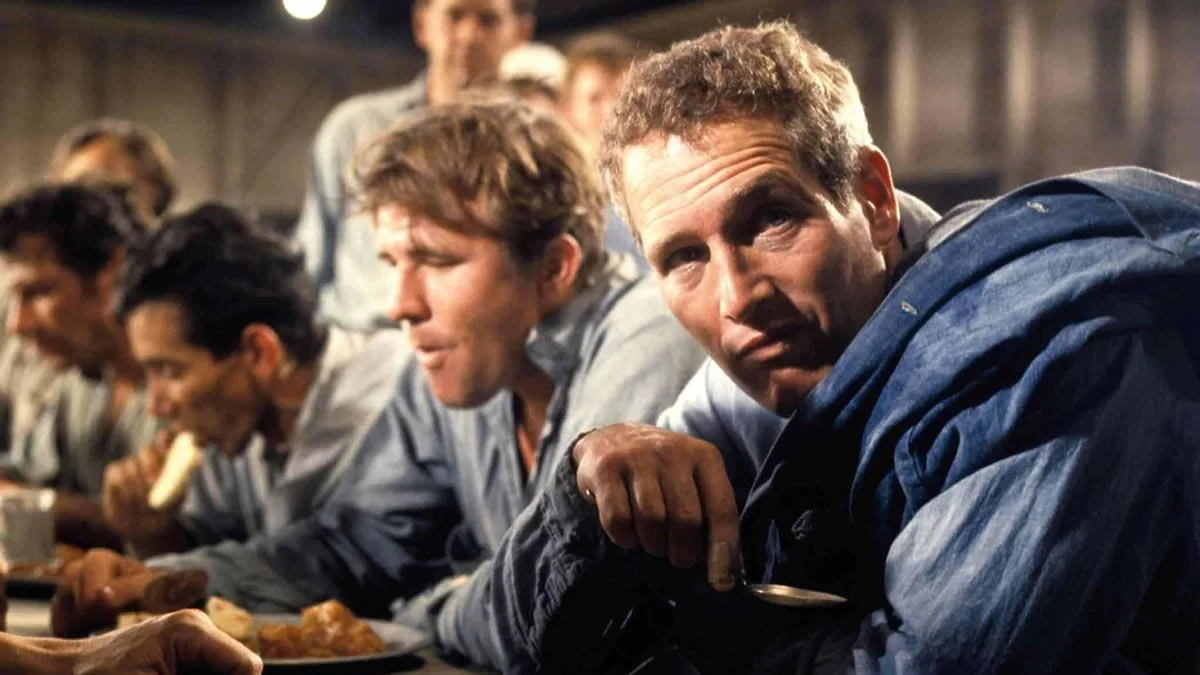 فیلم لوک خوش‌دست cool hand luke