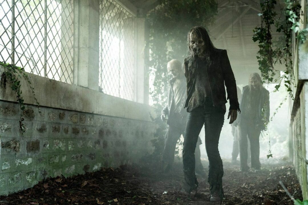 انتشار نخستین تصاویر از سریال The Walking Dead: Daryl Dixon - گیمفا