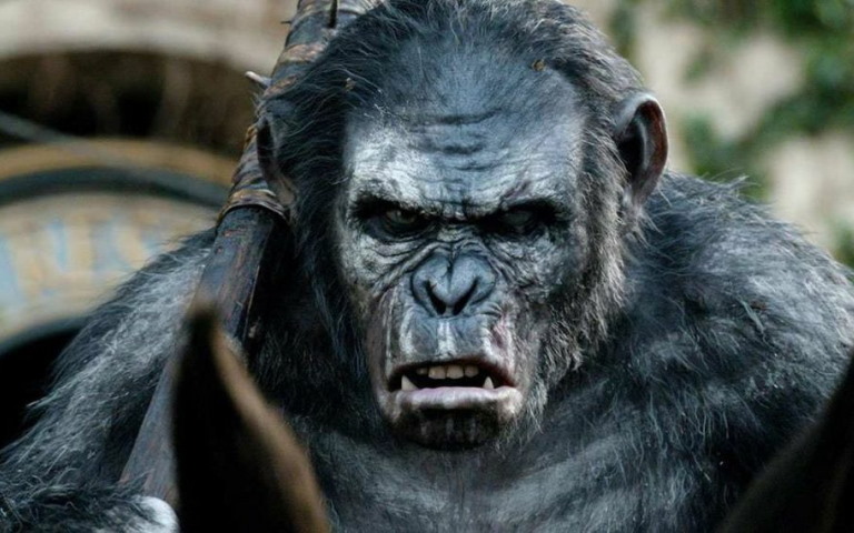 پایان فیلم‌برداری Kingdom of the Planet of the Apes - گیمفا