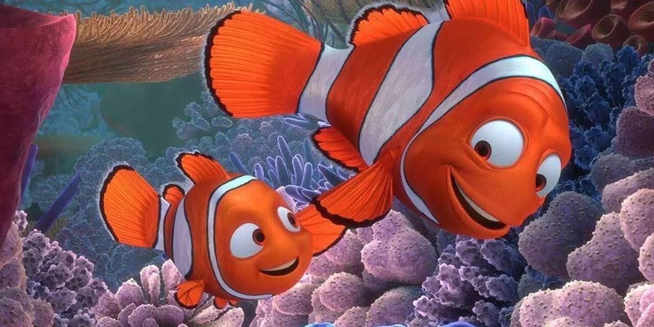 انیمیشن finding nemo