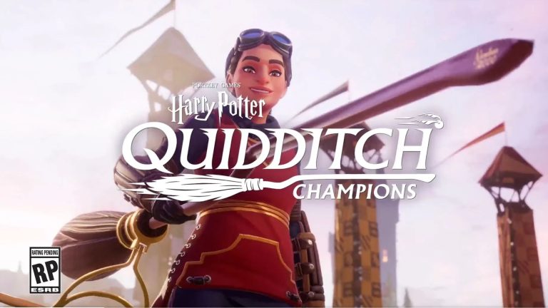 harry potter quidditch champions