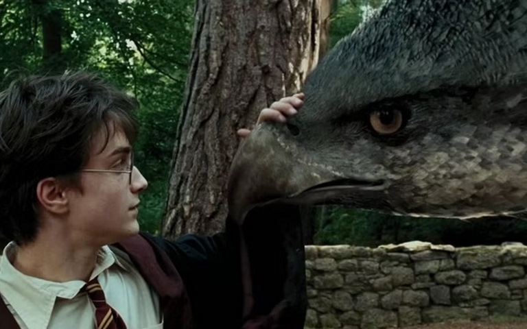 بررسی دلایلی که سریال Harry Potter می‌تواند بهتر از فیلم‌ها ظاهر شود - گیمفا