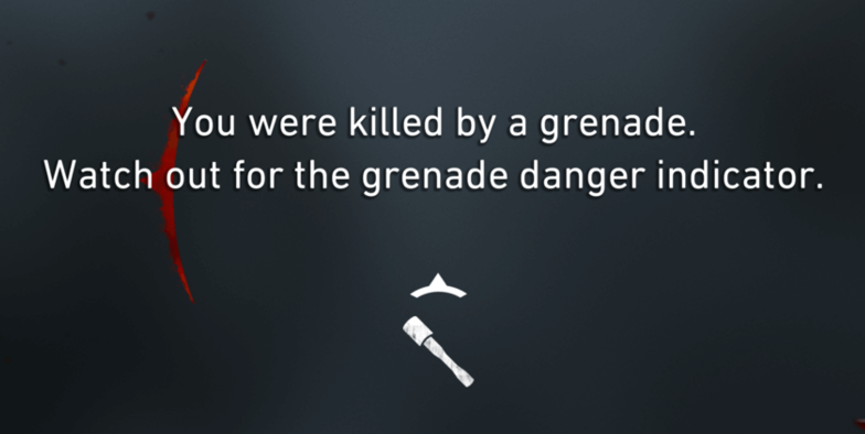 you were killed by a grenade