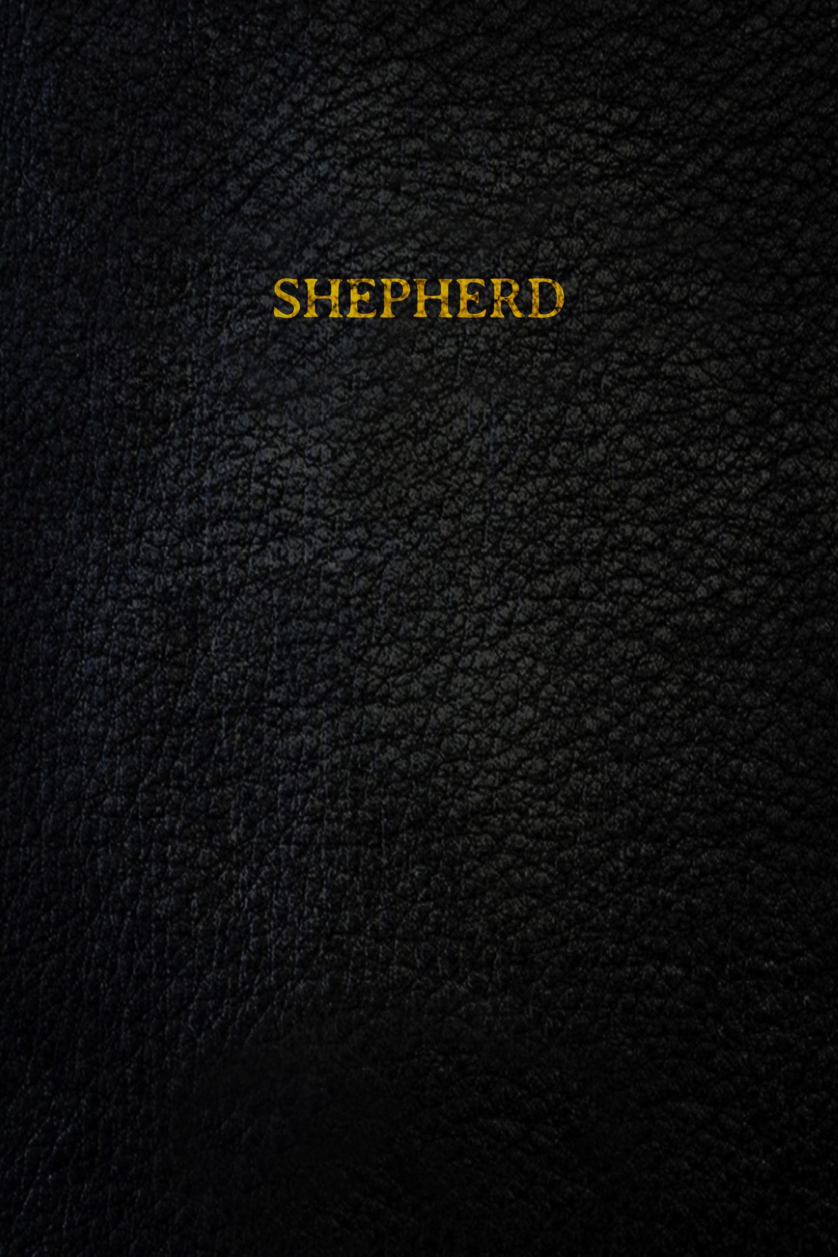 Shepherd (2023) - گیمفا: اخبار، نقد و بررسی بازی، سینما، فیلم و سریال