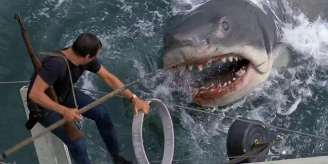 فیلم jaws محصول سال ۱۹۷۵