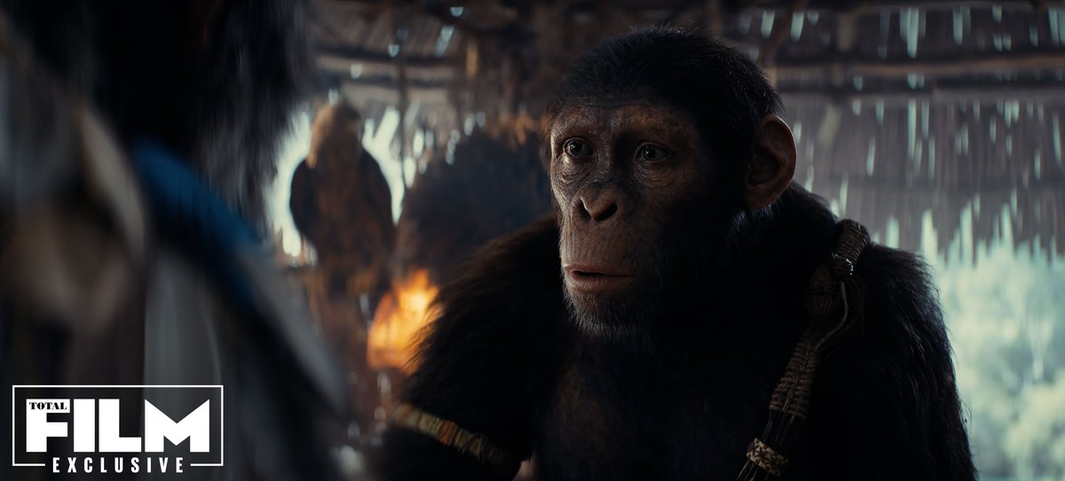 فیلم kingdom of the planet of the apes