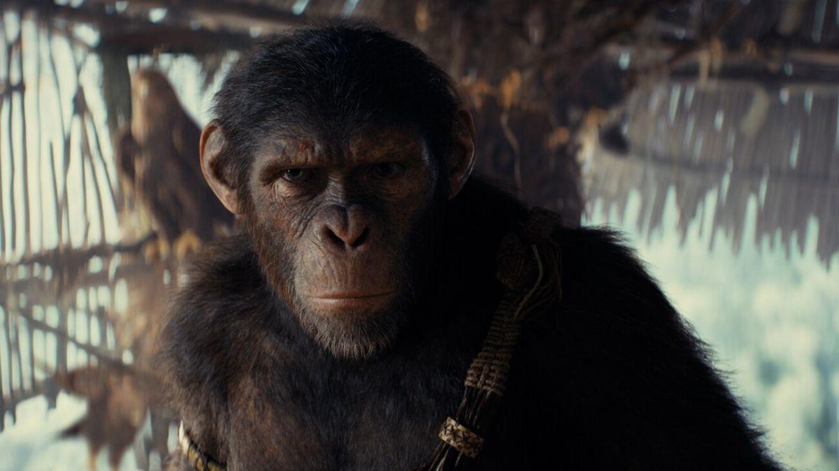 تریلر جدید فیلم Kingdom of the Planet of the Apes منتشر شد - گیمفا