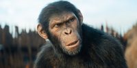 معرفی فیلم Monkey Man | بوگی‌من زاغه‌نشین - گیمفا