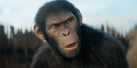 فیلم kingdom of the planet of the apes