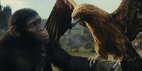 تصویر تازه فیلم Kingdom of the Planet of the Apes - گیمفا