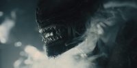 انتشار نخستین تصاویر فیلم Gladiator 2 | نمایش نبردی مرگبار - گیمفا