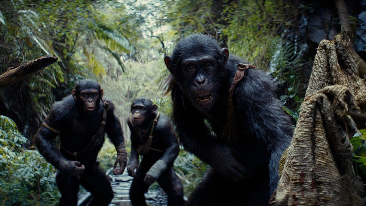 نقد و بررسی فیلم Kingdom of the Planet of the Apes - گیمفا